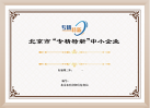 北京市专精特新中小企业